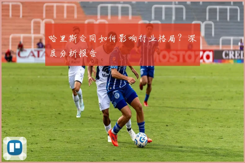 哈里斯合同如何影响行业格局？深度分析报告