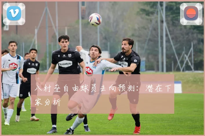 八村垒自由球员去向预测：潜在下家分析