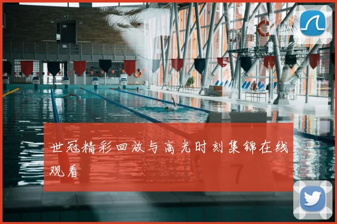 世冠精彩回放与高光时刻集锦在线观看