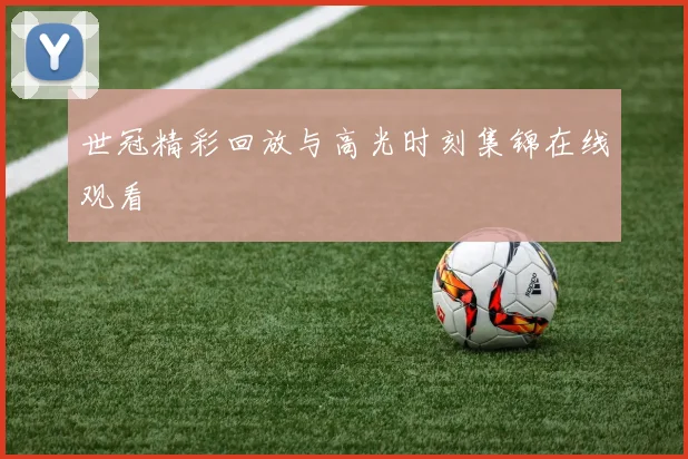 世冠精彩回放与高光时刻集锦在线观看