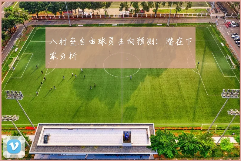 八村垒自由球员去向预测：潜在下家分析